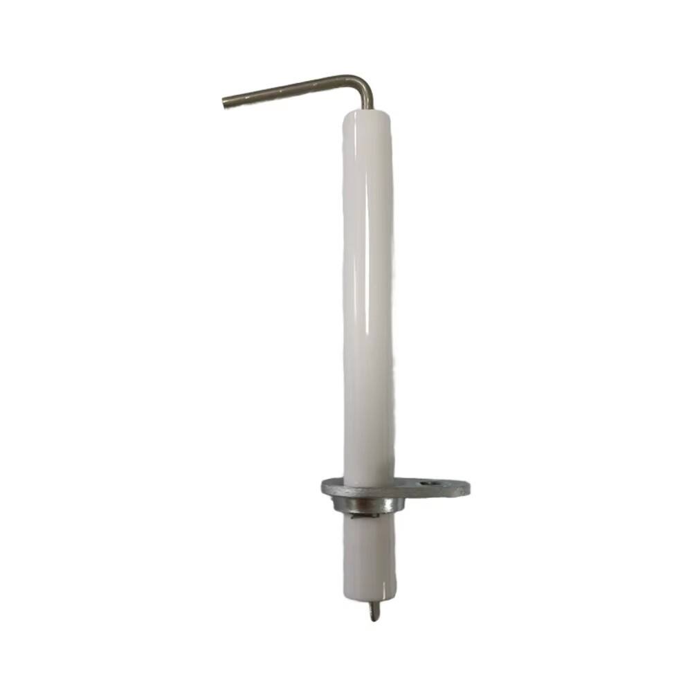 Electrode Ionization Baxi 8422570