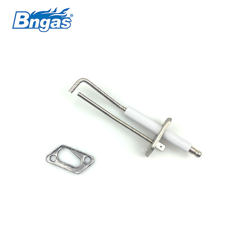 Gas-fired Condensing Boiler Ignition Electrode Kit BN5504