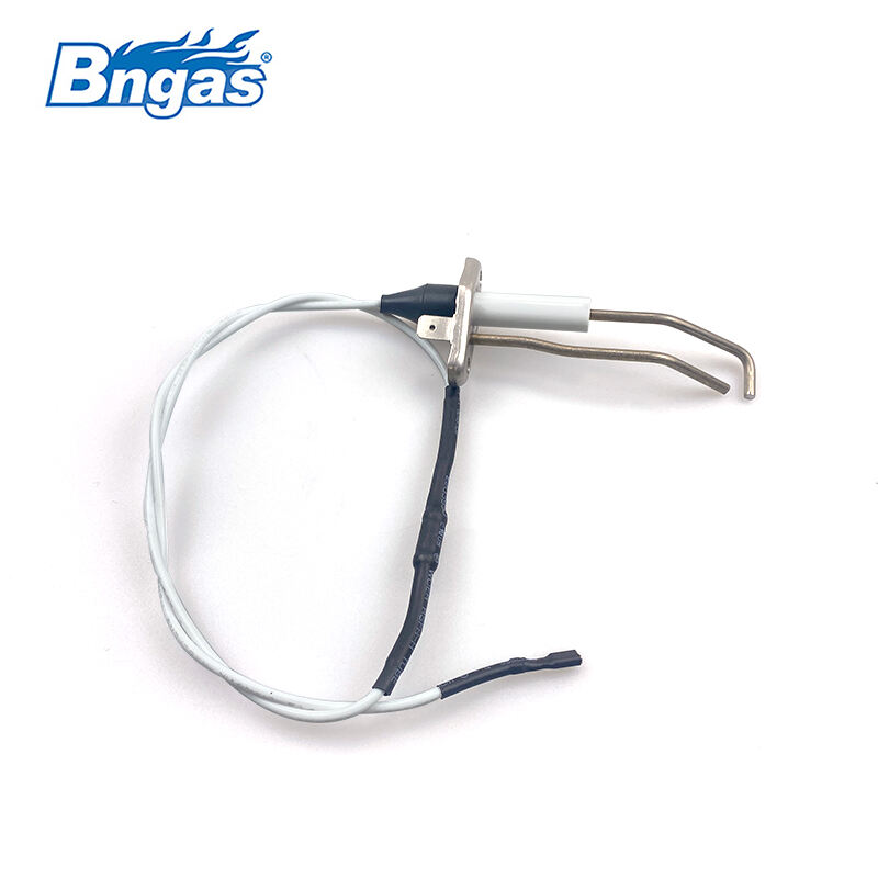 Biasi Électrode d'allumage BN5509