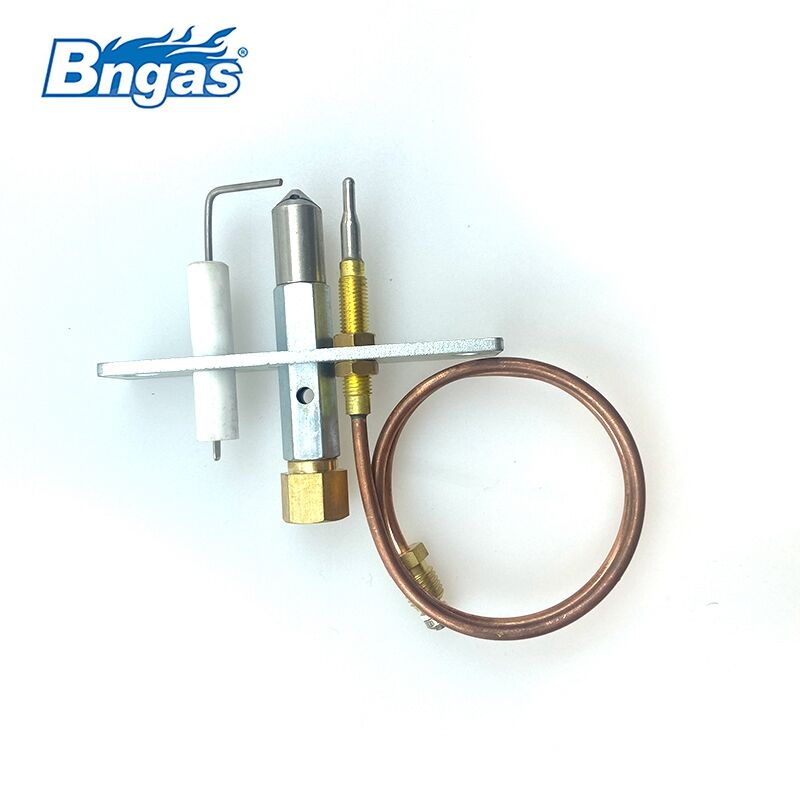 Set pilot pentru gaz natural BN3310