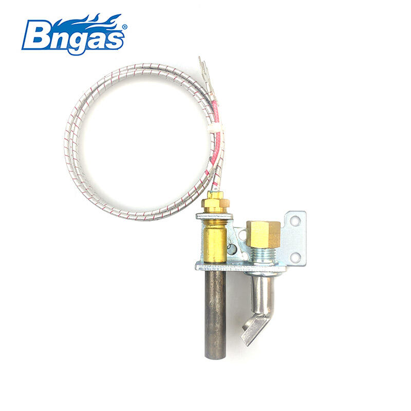Pilot assembly with thermopile BN2201