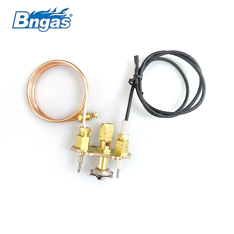 Componenti del Bruciatore per Caldaia a Gas BN2216A