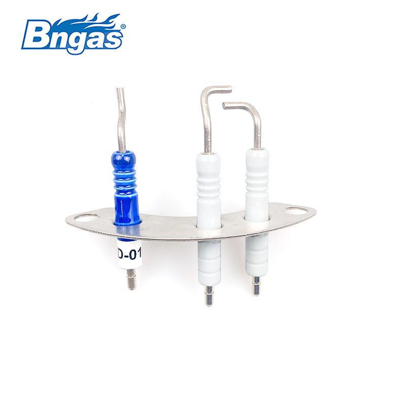 WORC Boiler Spare Part Electrode Set BN5502