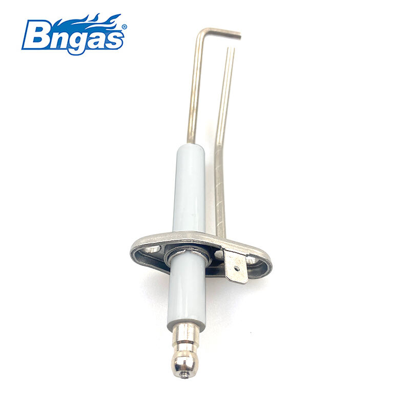 Électrode d'allumage Biasi BN5510