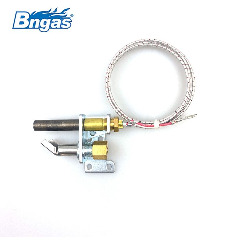 Pilot assembly with thermopile BN2201
