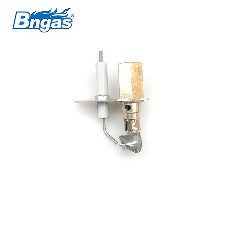 Pilot burner BN2209