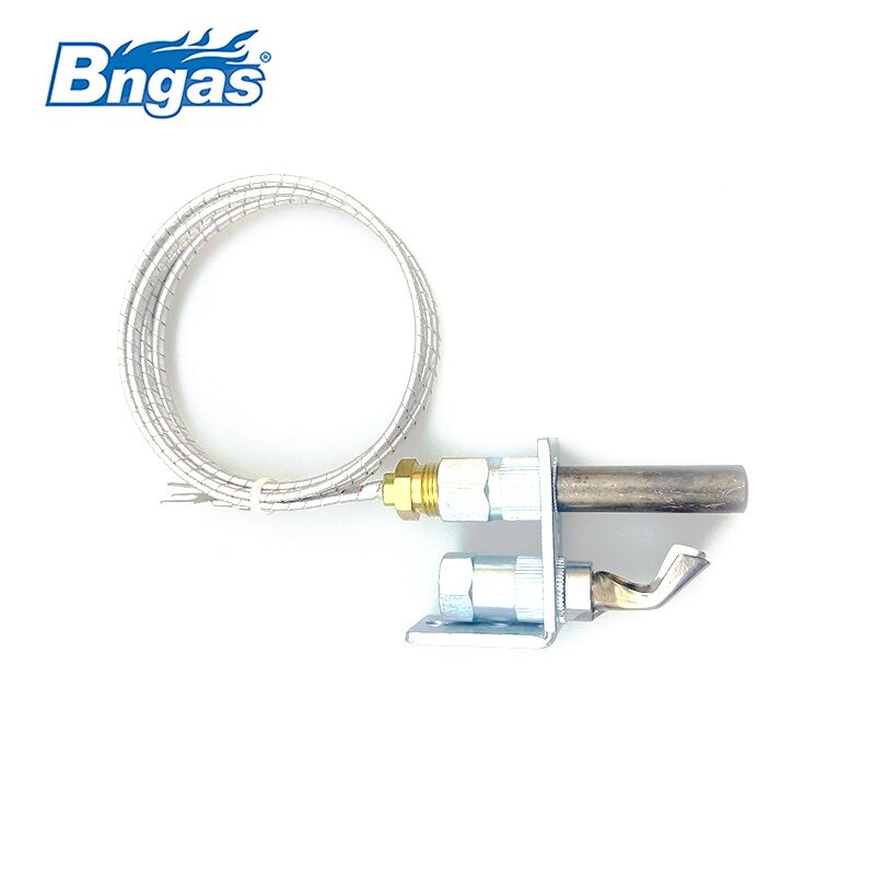Replacement Pilot Assembly  BN221