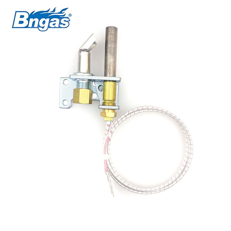 Pilot assembly with thermopile BN2201