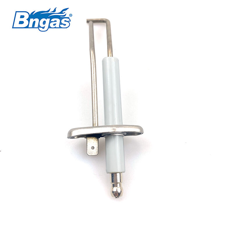 Électrode d'allumage Biasi BN5510