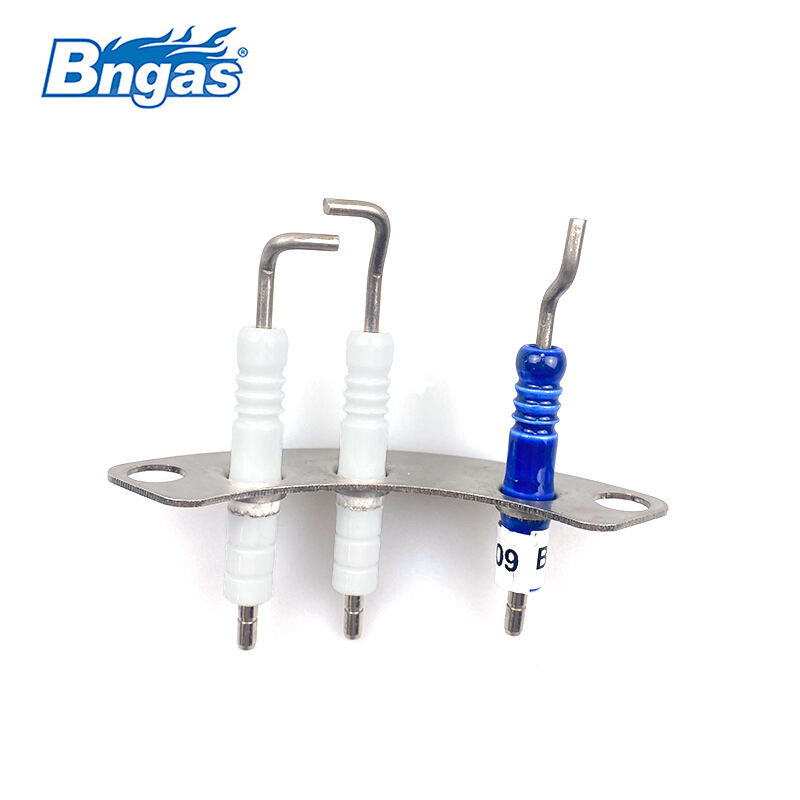 WORC Boiler Spare Part Electrode Set BN5502