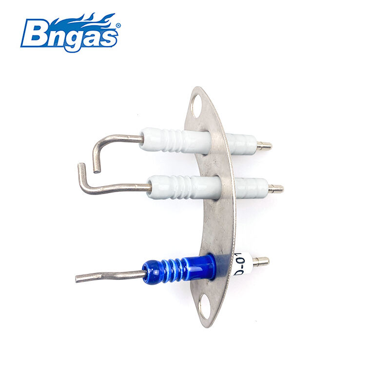 WORC Boiler Spare Part Electrode Set BN5502
