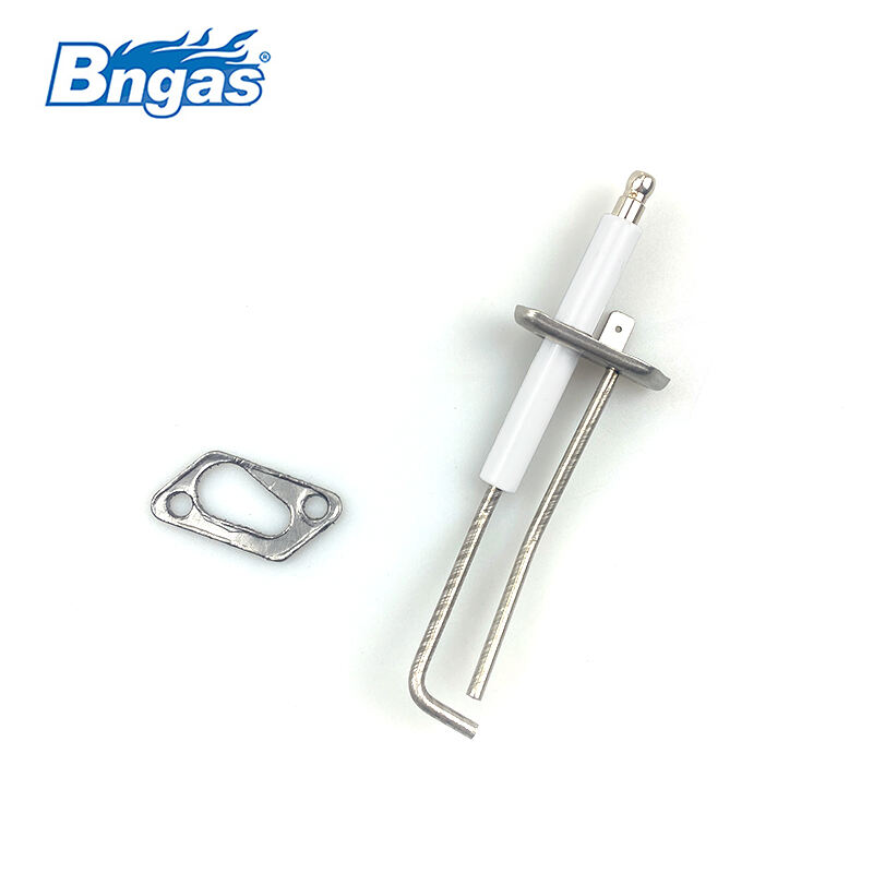Gas-fired Condensing Boiler Ignition Electrode Kit BN5504