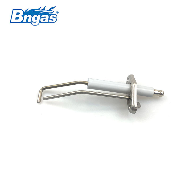 Électrode d'allumage Biasi BN5510
