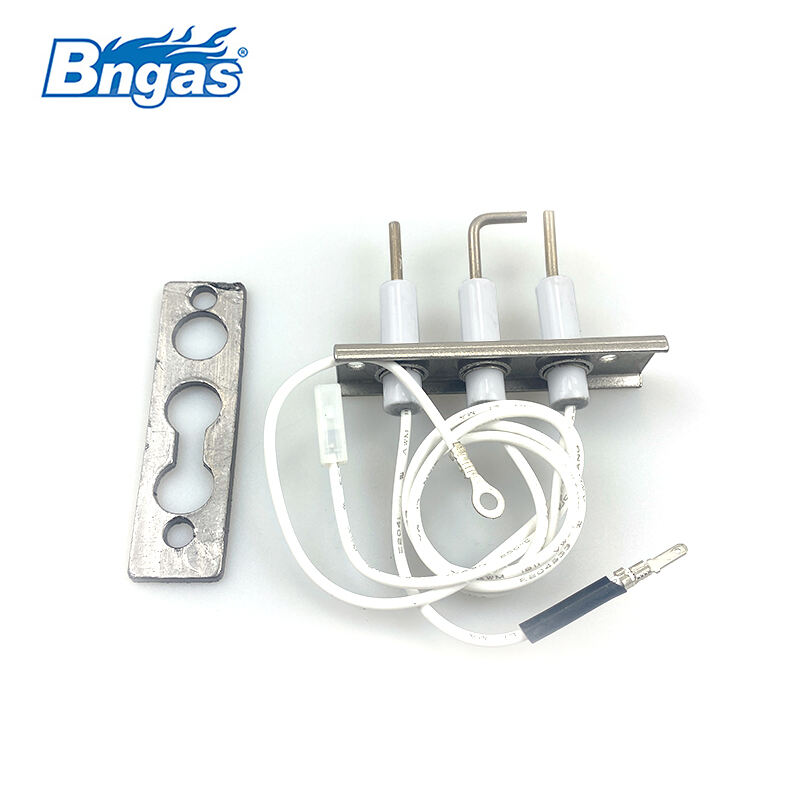 Kit d'électrodes principales Baxi BN5515