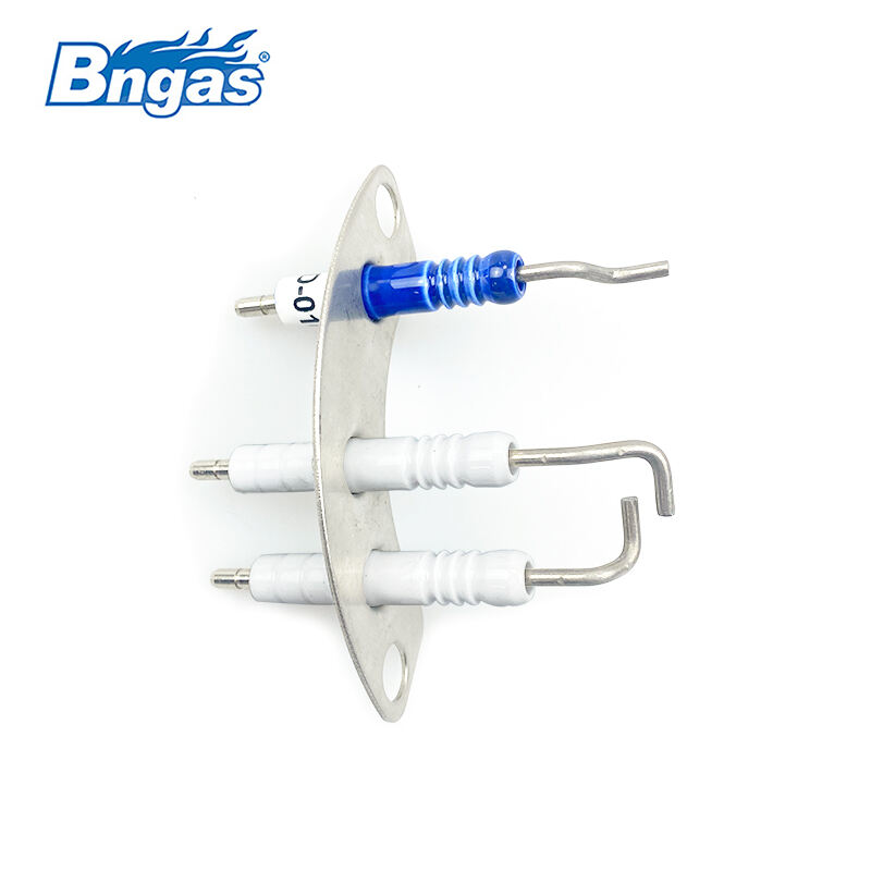 WORC Boiler Spare Part Electrode Set BN5502