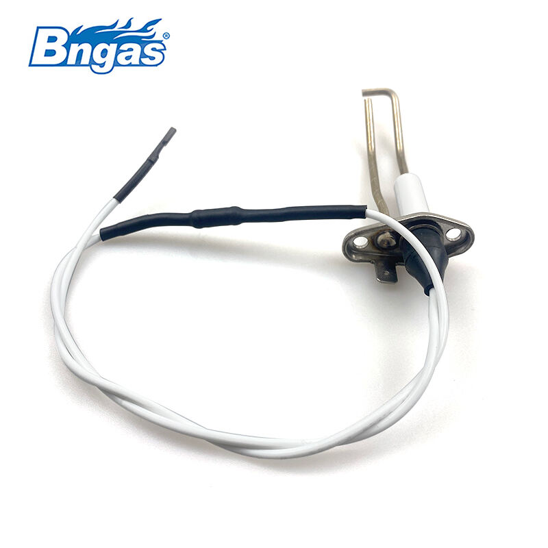 Biasi Électrode d'allumage BN5509