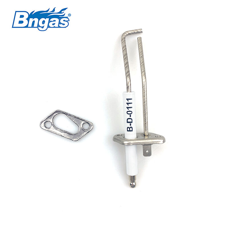 Gas-fired Condensing Boiler Ignition Electrode Kit BN5504
