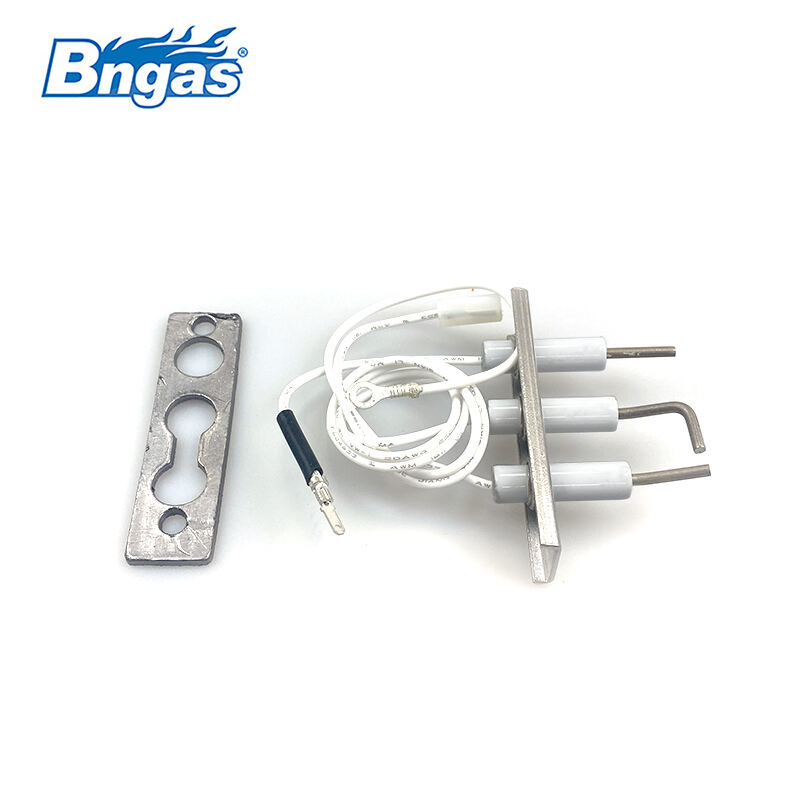 Kit d'électrodes principales Baxi BN5515