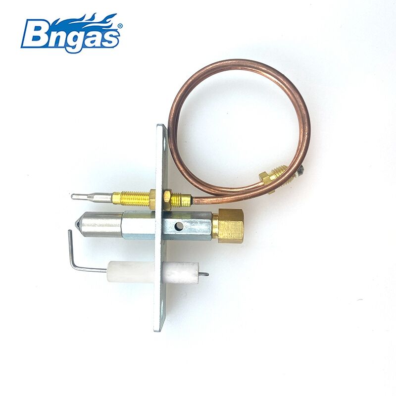 Set pilot pentru gaz natural BN3310