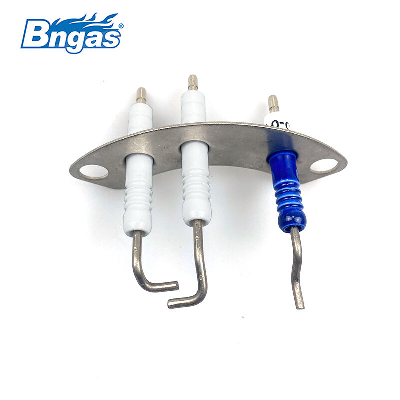 WORC Boiler Spare Part Electrode Set BN5502
