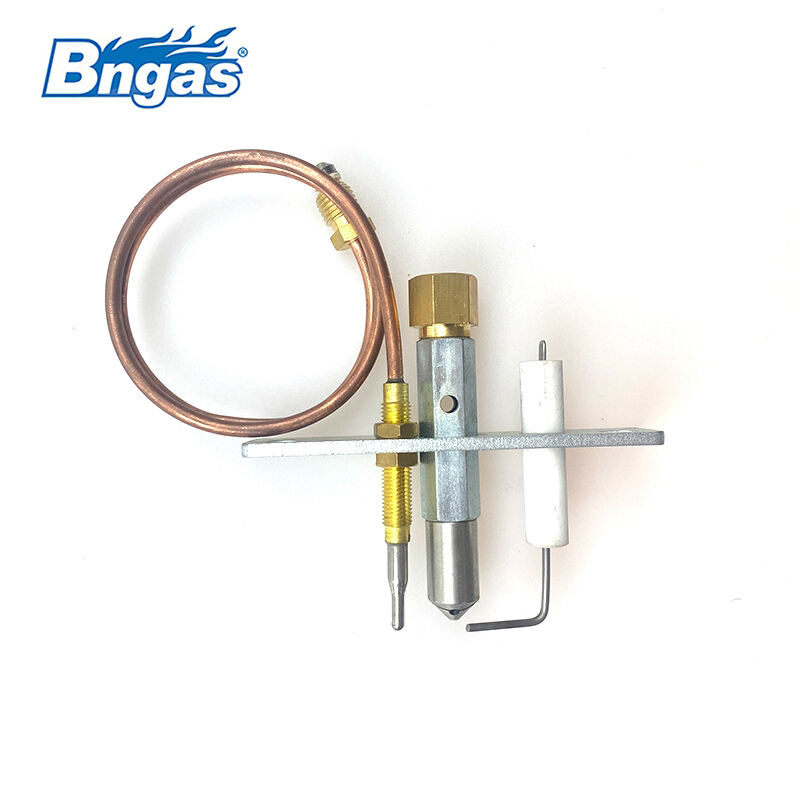 Set pilot pentru gaz natural BN3310