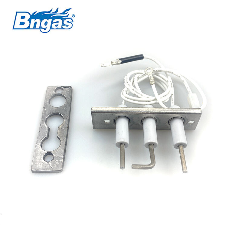 Kit d'électrodes principales Baxi BN5515