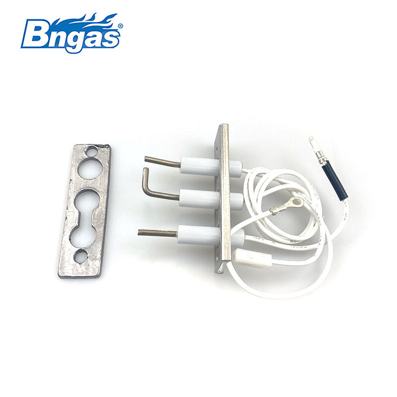 Kit d'électrodes principales Baxi BN5515