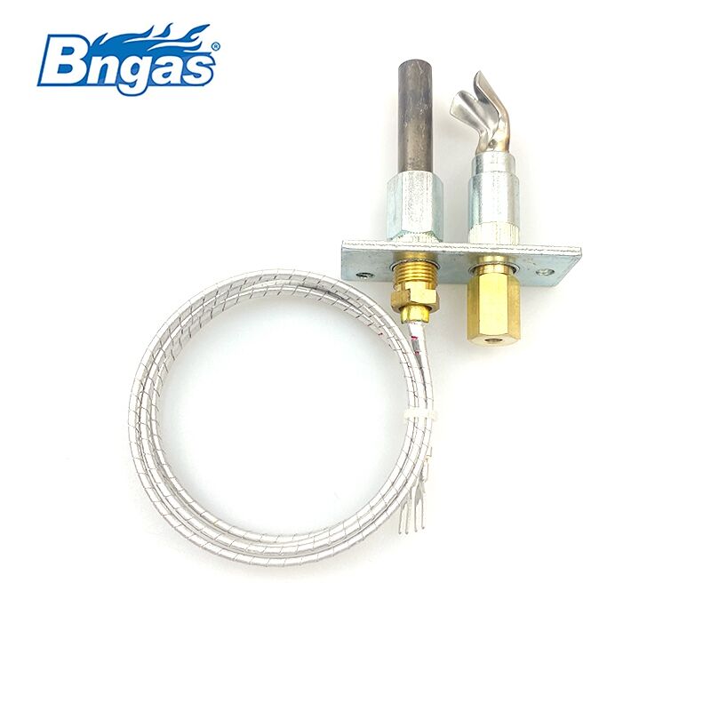 Pilot burner BN2206