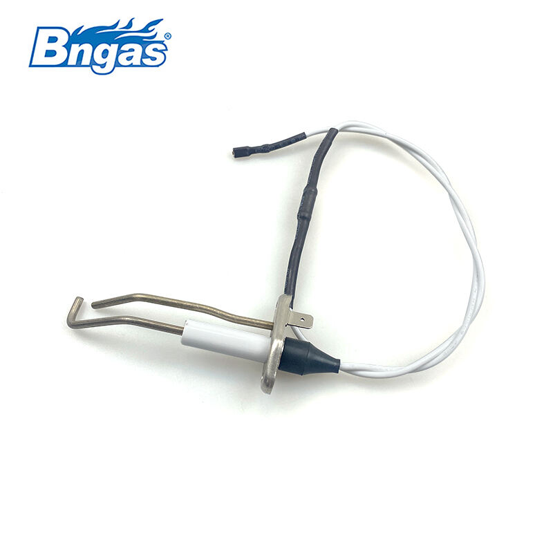Biasi Électrode d'allumage BN5509