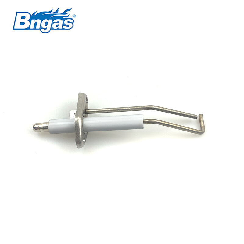 Électrode d'allumage Biasi BN5510