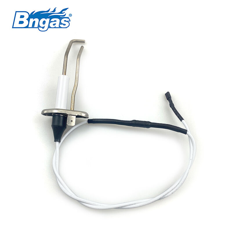 Biasi Électrode d'allumage BN5509