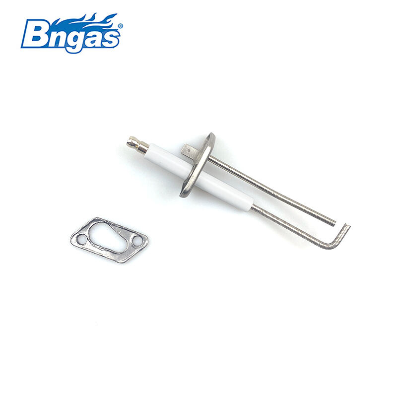Gas-fired Condensing Boiler Ignition Electrode Kit BN5504