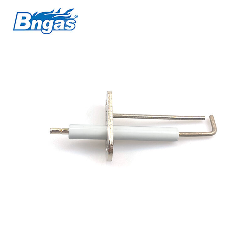 Ignition and Ionization Electrodes for Viessmann Condensing Boilers BN5516