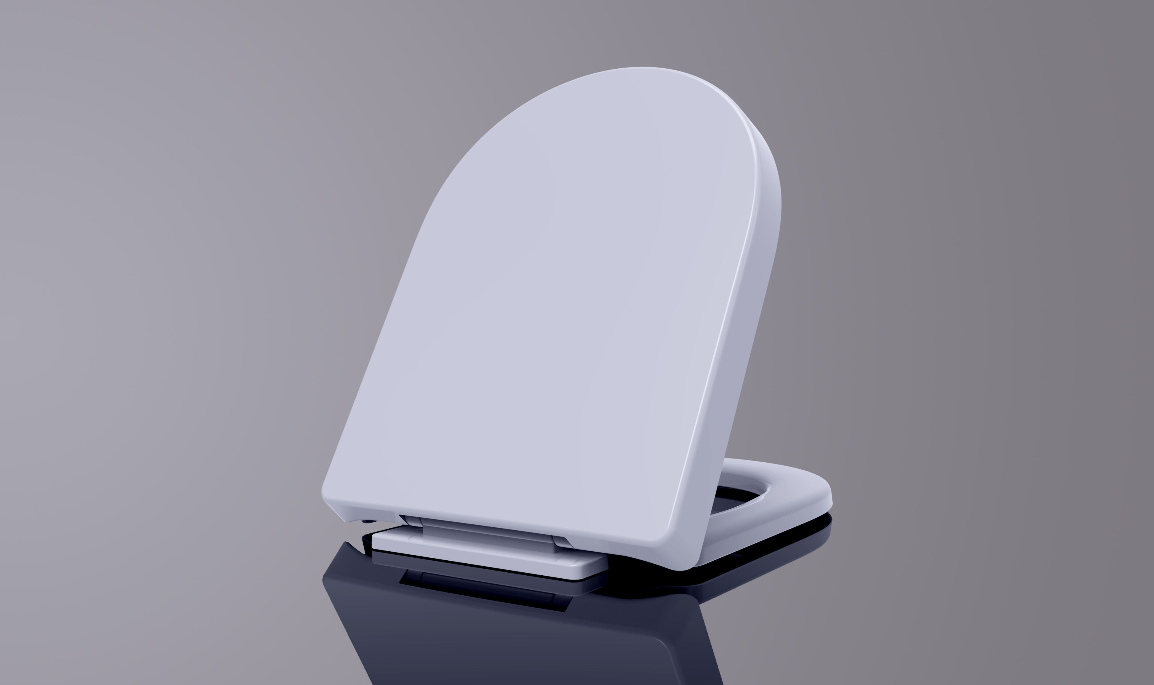 toilet plastic seat