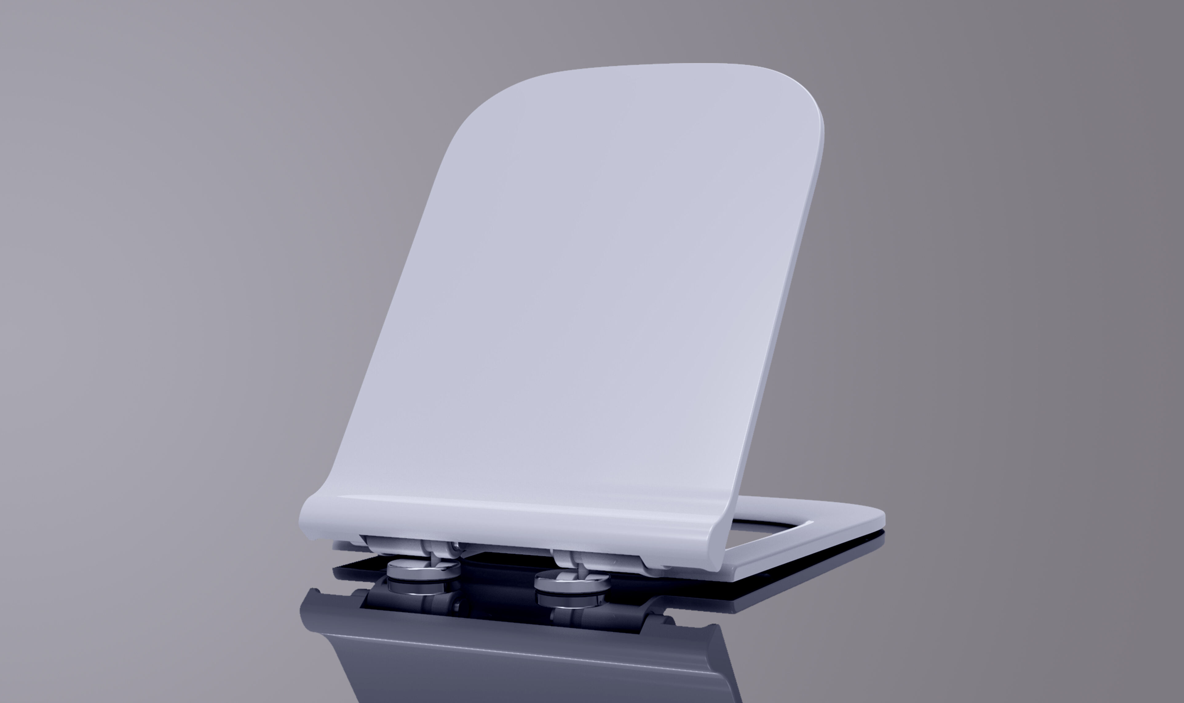 White Plastic Toilet Seat