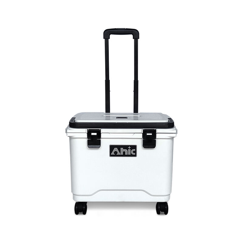 AHIC Portable small coolers for camping picnic