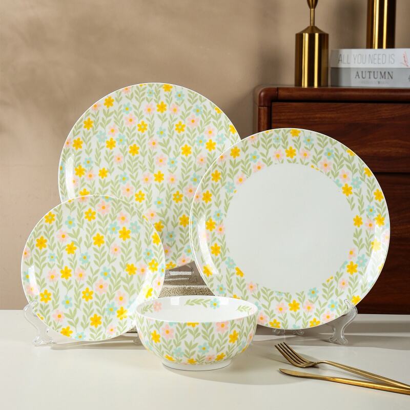 Ontdek die Uitstekende Voordelige van Ons Matte Eetwarestelle