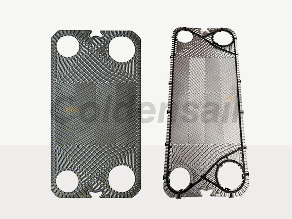 botai plate and gasket.jpg