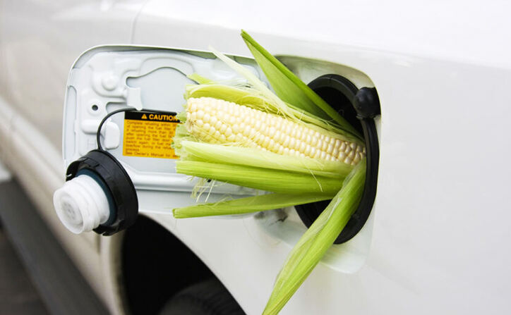 Biofuel Industry