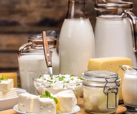 Dairy