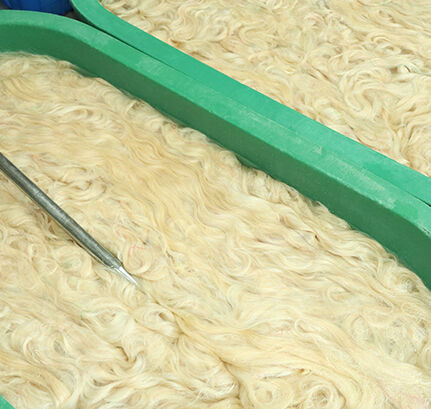 Professional Coloring