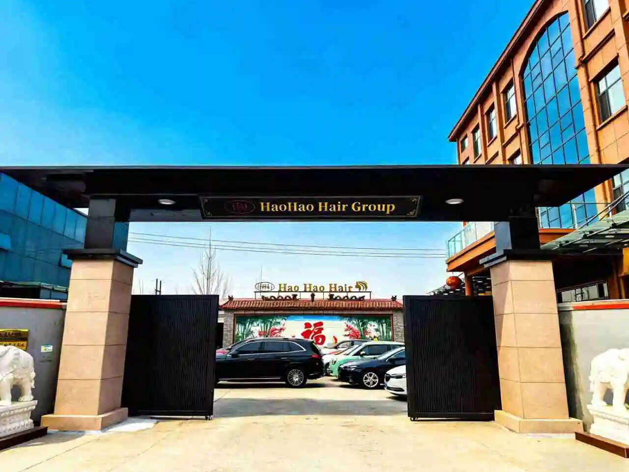 Factory Advantages: High-Quality Hair, Fast Delivery, and Customization at Its Best