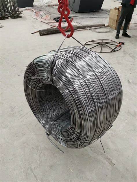 Live Every Taj’s Industry Kid’s Dream