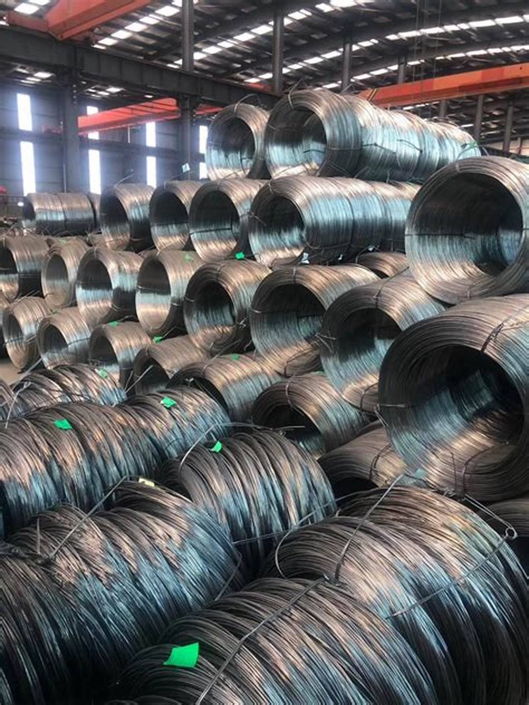 Customization Options