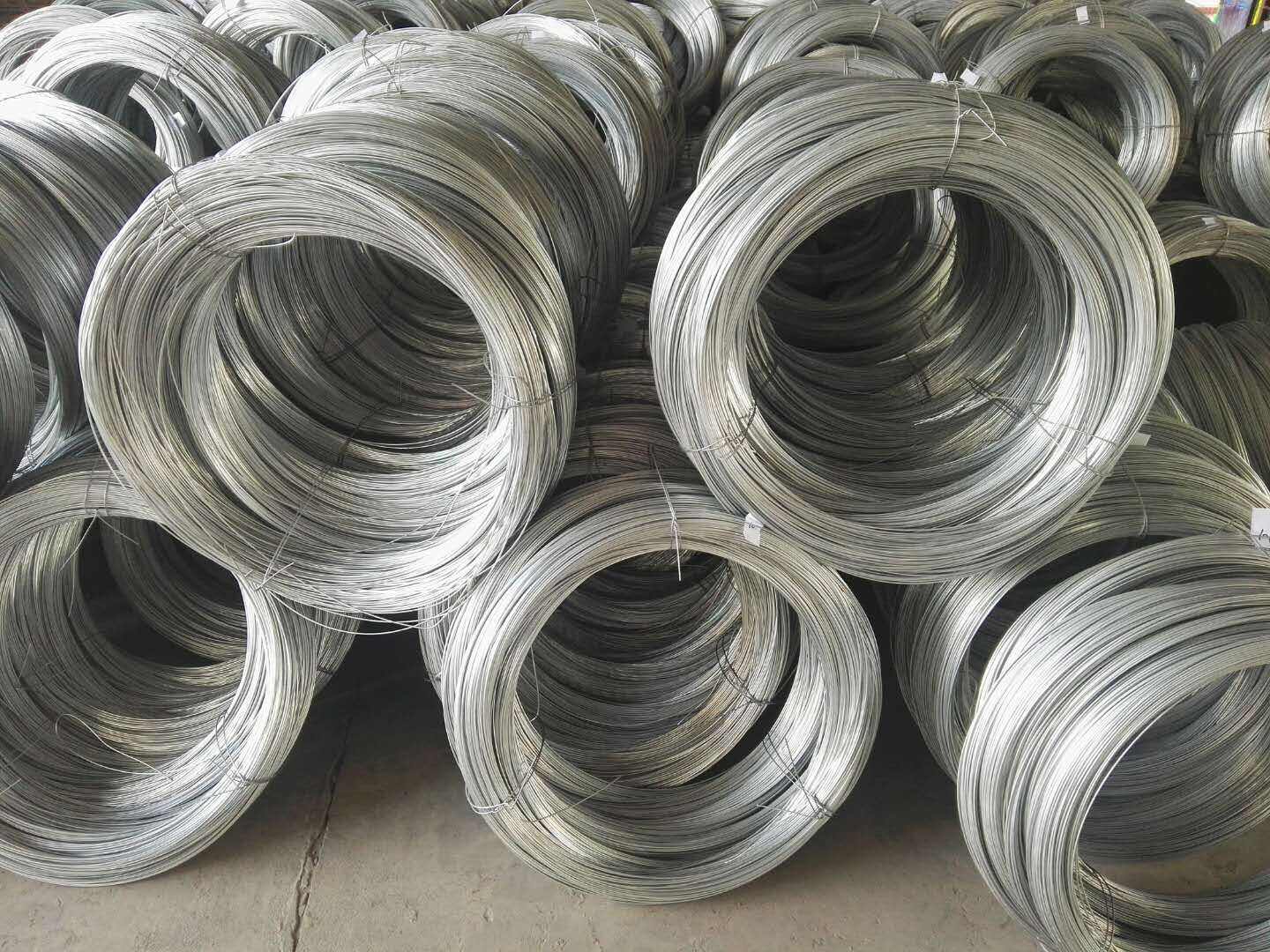 世界規模で 専門知識