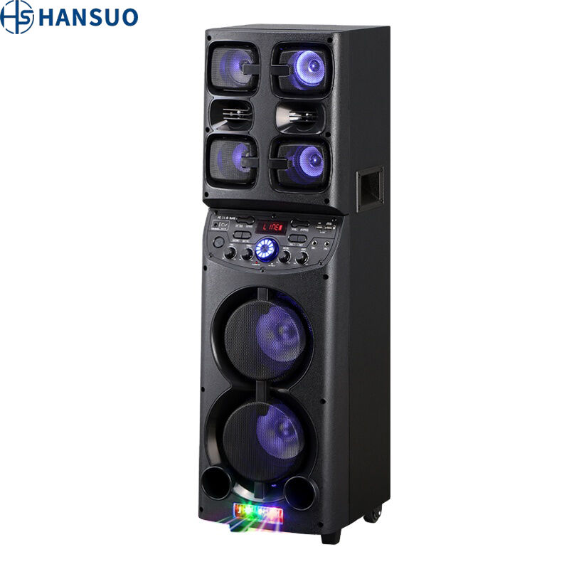 Factory HANSUO Brand Power of 50W Double 6.5 Inch Woofer and Double 3 Inch Tweeter Portable Speaker HS-TD0655