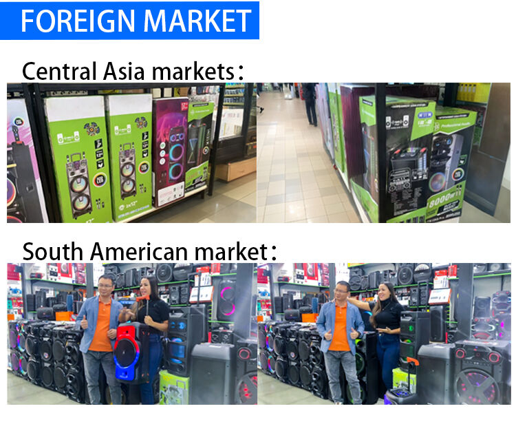 Manufacturer HANSUO Private Mould Multifunctional Audio HS-TD12V8 Powered of 100W Double 12 Inch Woofer and Single Tweeter manufacture