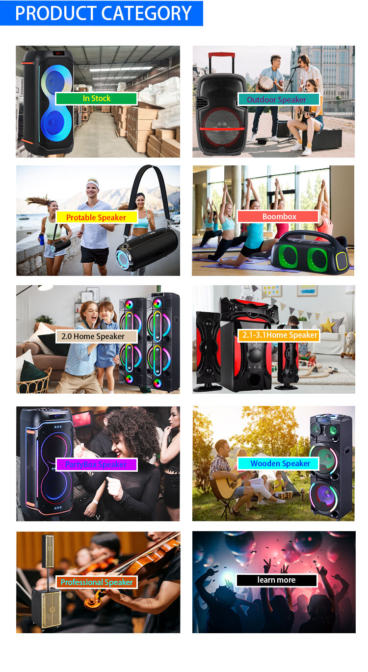 Manufacturer HANSUO Private Mould Multifunctional Audio HS-TD12V8 Powered of 100W Double 12 Inch Woofer and Single Tweeter factory