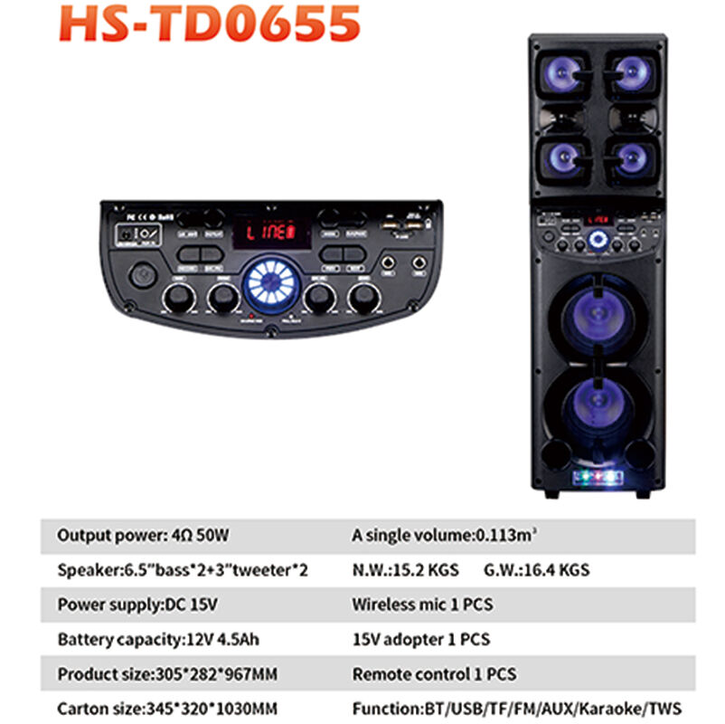 Factory HANSUO Brand Power of 50W Double 6.5 Inch Woofer and Double 3 Inch Tweeter Portable Speaker HS-TD0655 factory