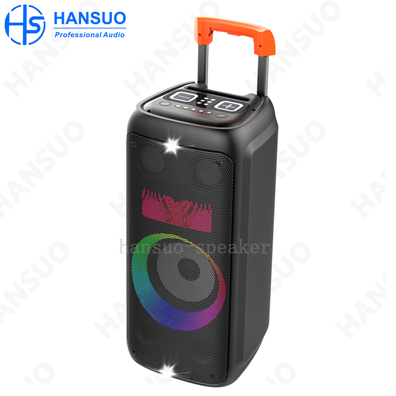 Manufacturer New HANSUO Mould HS-TS08G8 Portable Multifunctional Speaker Powered 80W Single 8 Inch Woofer and Double Tweeter manufacture